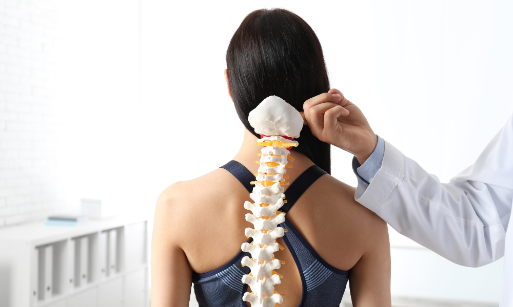 Active Spine – Chiropractic & Physiotherapy gallery